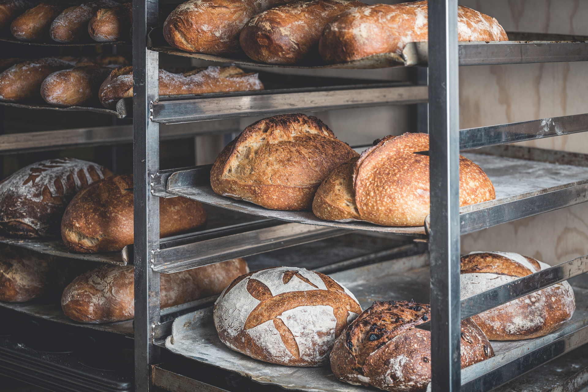 Rows of sourdough loaves cooling on bakery racks at Kneads Bakeshop for Sourdough September